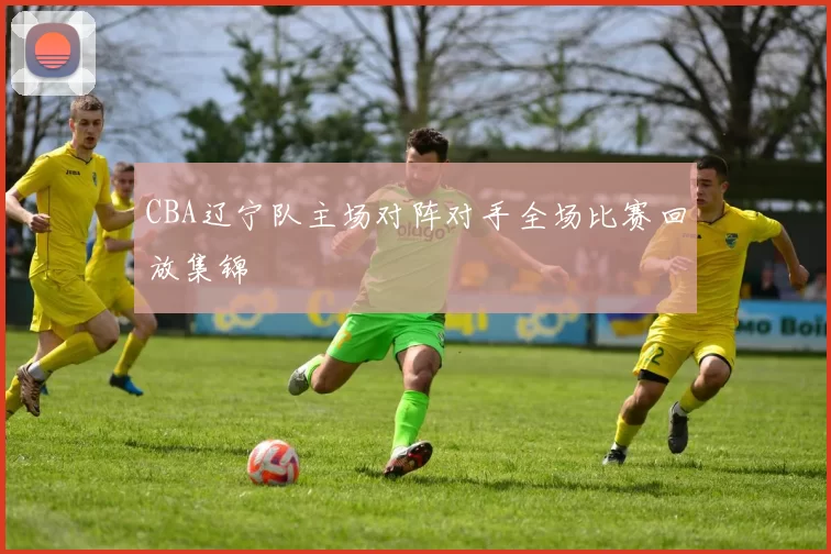 CBA辽宁队主场对阵对手全场比赛回放集锦