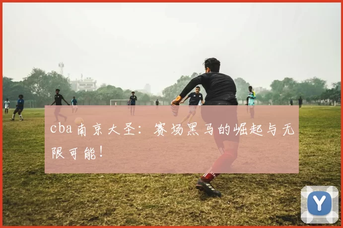 cba南京大圣：赛场黑马的崛起与无限可能！