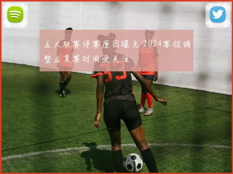 五大联赛停赛原因曝光 2024赛程调整后复赛时间受关注