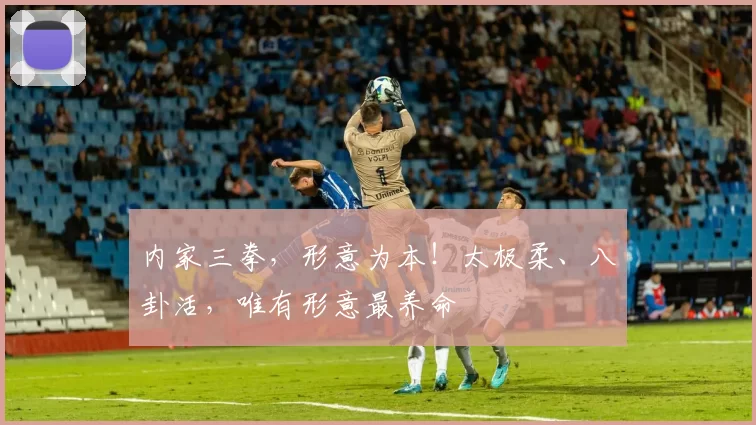 内家三拳，形意为本！太极柔、八卦活，唯有形意最养命