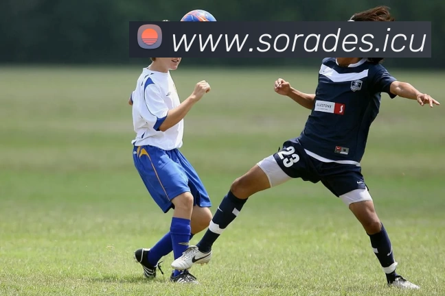 九游(NINE GAME)体育·官方网站 - 中国智慧体育科技领导者平台生态图