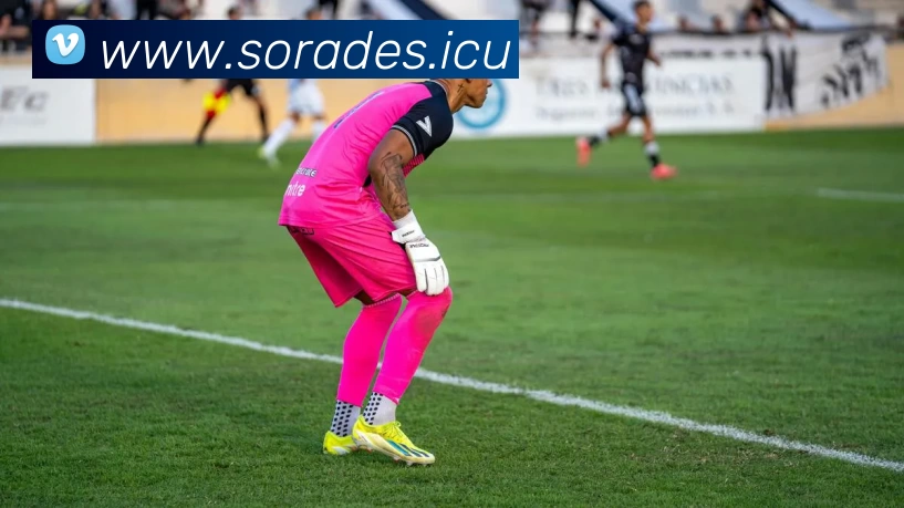 九游(NINE GAME)体育·官方网站 - 中国智慧体育科技领导者APP 封面图